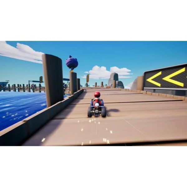 the Pat'Patrol: Grand Prix Game PS4-1