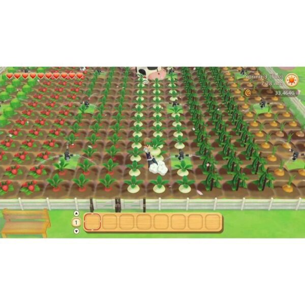 Buy with crypto Story of Seasons: Pioneers of Olive Town Switch Game-4