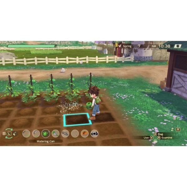 Buy with crypto Story of Seasons a Wonderful Life Game Nintendo Switch)-6