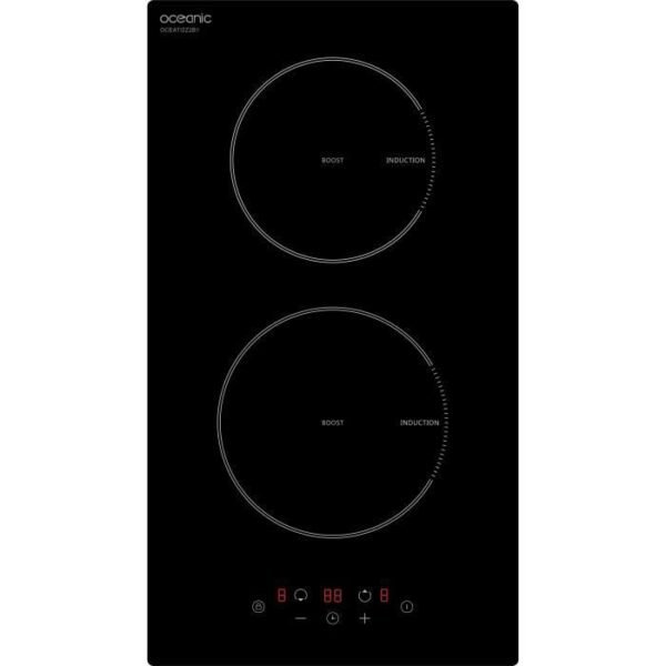 Buy with crypto Oceanic Domino Built -in black induction-1
