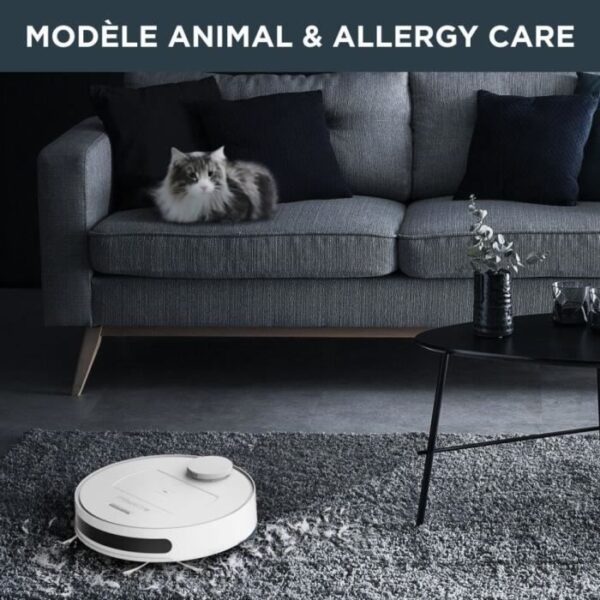 animal and allergy kit